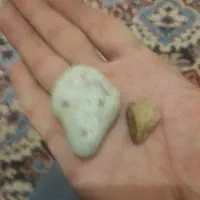 سنگ لاجورد راف .فسیل سر مار|جواهرات|اراک, |دیوار