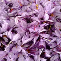 فروش زعفران از دست کشاورز|خوردنی و آشامیدنی|سرایان, |دیوار