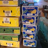 کارتون موزی