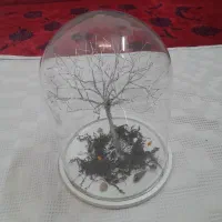 درخت تزیینی|صنایع دستی و سایر لوازم تزئینی|مشهد, ایثارگران|دیوار