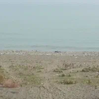 آپارتمان نقلی ساحلی فرهاد ۸۹