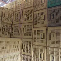 جعبه میوه پرتقال ۲۰ کیلویی