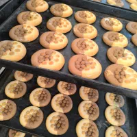 انواع کیک فانتزی بصورت عمده وکیلویی زیر قیمت بازار