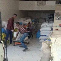 فروش نهاده دامی جو ذرت خوراک دام سبوس گندم وغیره|عمده‌فروشی|شیراز, کوشک بیدک|دیوار