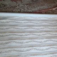پرده‌ زبرا