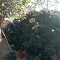 فروش سبد جای میوه