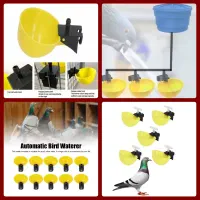 آبخوری‌‌ کبوتر‌ پلاکی‌ مسافتی‌ زینتی