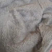 با سلام و ارادت. کاپیشان نو نو