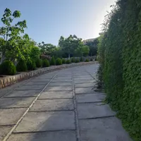 واحدی ۶۰متری یک خوابه