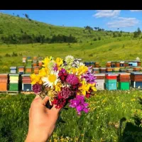 یک نفر همکار خانم