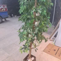 گل و گلدان|گل مصنوعی|کرمانشاه, |دیوار