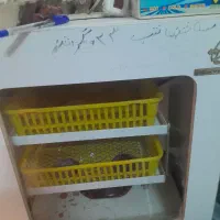 دستگاه جوجه کشی ۴۸تایی فاخته و۶۰۰تایی مشهدبرق