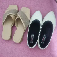 کفش و کیف|کیف، کفش، کمربند|ساری, |دیوار