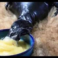 روغن حیوانی ناب گاوی|خوردنی و آشامیدنی|ایوان, |دیوار