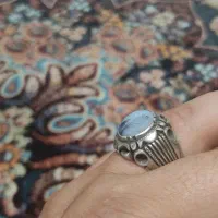 کفتر طوقی|زیورآلات و اکسسوری|شهریار, شهرک بهاران (ویره)|دیوار