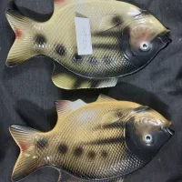ماهی دکوری جفت ۵۰۰