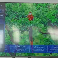 تلویزیون هوشمند اسنوا