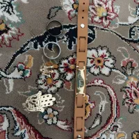 دستبند و سنجاق سینه و حلقه