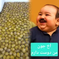 زیتون درجه یک رودبار گیلان|خوردنی و آشامیدنی|رودبار, |دیوار