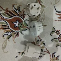 تبدیل دو شاخه