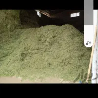 یونجه کوبیده وقالب تحویل درمحل محل