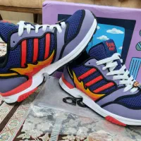 zx۱۰۰۰سیمسون سفارش کره|کیف، کفش، کمربند|تهران, افسریه جنوبی|دیوار