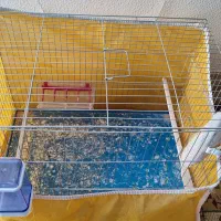 قفس پرنده|لوازم جانبی حیوانات|شاهین‌شهر, چمران|دیوار