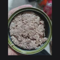 تن ماهی خوش طعم گوشت سفید شلمان ۴۲ هزار تومن|خوردنی و آشامیدنی|قم, نخودی|دیوار