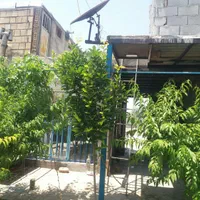 خانه باغچه ویلایی خسروشاه خسروشهر|فروش خانه و ویلا|تبریز, |دیوار