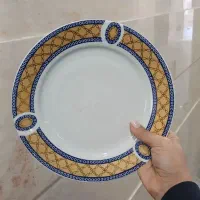 سرویس غذا خوری بشقاب های چینی FANTASY