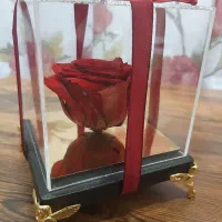 رز جاودان قرمز