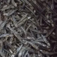 استخدام کارگر