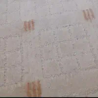 موکت در حد نو