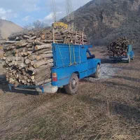 خرید انواع چوب کلی و جزئی به بالاترین قیمت