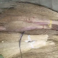 جارو پیشی|لوازم نظافت|زاغه, |دیوار