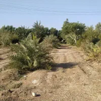 رهن-و-اجاره-زمین-صنعتی-و-باغ