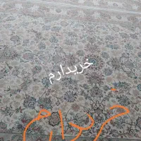 فرش افشان خطیبی|فرش|تربت‌حیدریه, قائم|دیوار