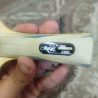 دسته پینگ پونگ فرزند شیپ ۱۲ستاره|ورزشهای توپی|میبد, |دیوار