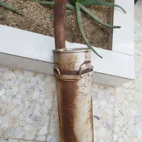 اگزوز بلوچی