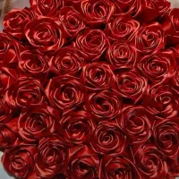 گل رز|گل مصنوعی|گلبهار, شهر جدید گلبهار|دیوار