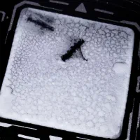 فن حرفه ای یخ برای بازی|کنسول، بازی ویدئویی و آنلاین|بهارستان, |دیوار