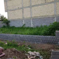 فروش زمین ۴۶۱ متری با بر ۱۹ متر میدان نیروی دریایی|فروش زمین و ملک کلنگی|رشت, کوی قدس|دیوار