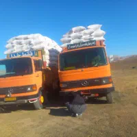 کاه‌گندم‌دیم