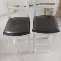 صندلی کانتر|صندلی و نیمکت|بندر انزلی, آذربایجان|دیوار