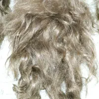 کلاه گیس طبیعی زنانه|آرایشی، بهداشتی، درمانی|فردیس, شهرک ۱۱۰|دیوار