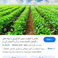 فروشنده زمین هستم