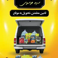پخش نمک تابان و ذغال کبابی و خودسوز سید موسوی