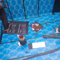 ایزوگام پخش ونصب حتی یک متر ((نقدواقساط))|خدمات پیشه و مهارت|پاکدشت, پاکدشت (مامازند)|دیوار