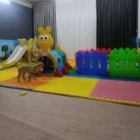 هتل پانسیون شبانه روزی سگ و گربه