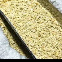 مغز تخمه هندوانه خام بمب انرژی